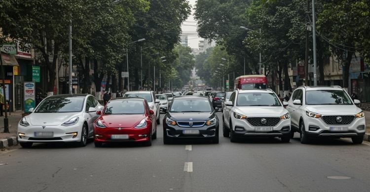 What Can Citizens Do to Support the EV Transition